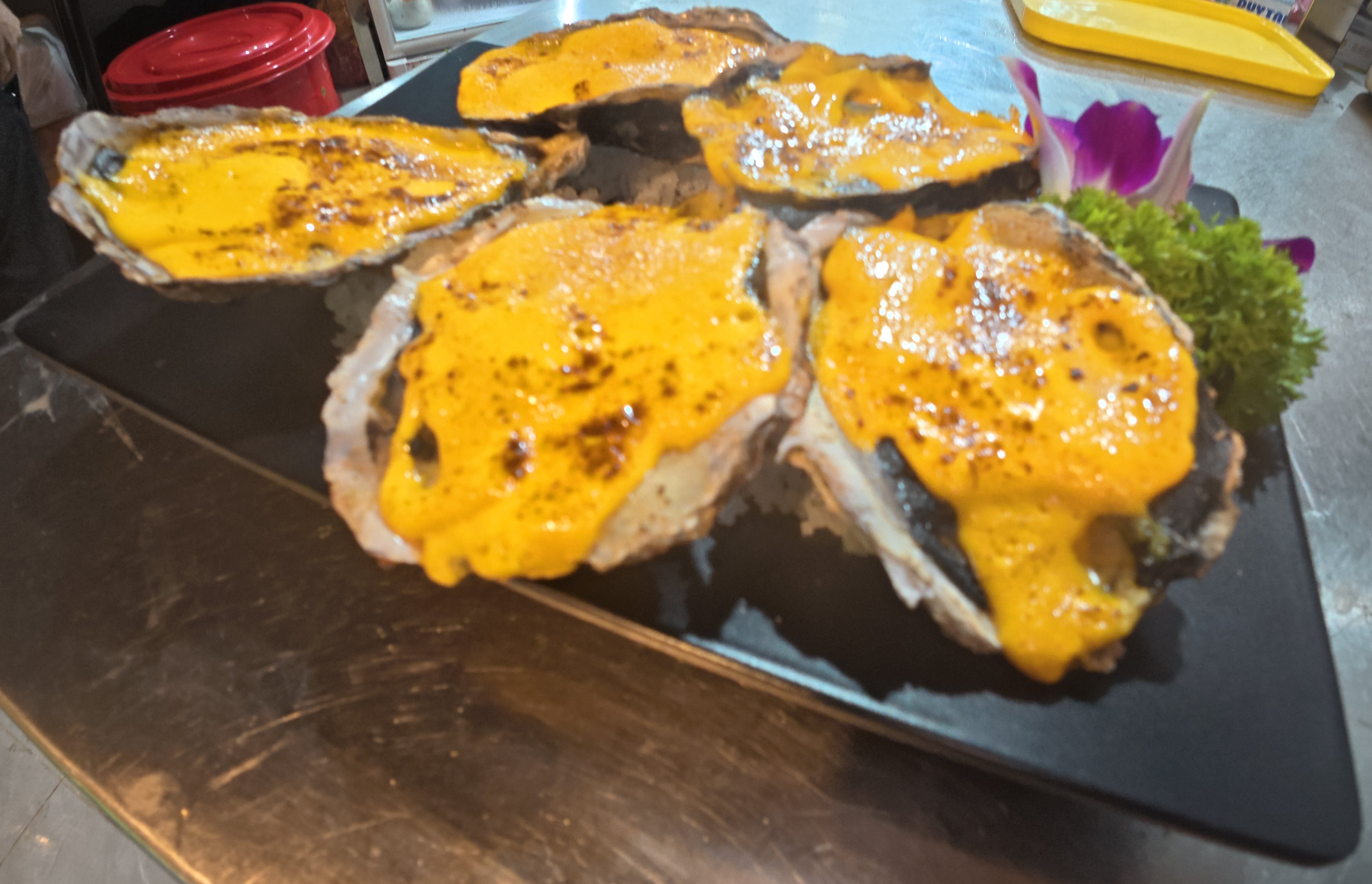 Thumbnail 1770173422564-DJI_20260130201241_0672_D.JPG